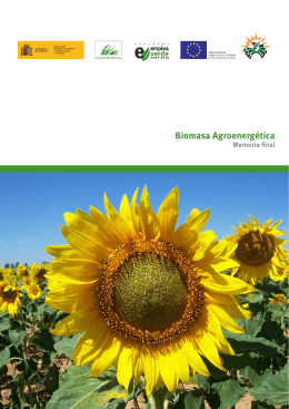 Biomasa Agroenergética
