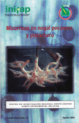 Micorrizas en nogal pecanero y pistachero