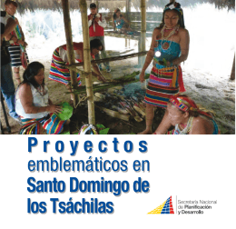 Santo Domingo de los Tsáchilas Proyectos