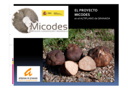 EL PROYECTO MICODES - GDR Altiplano de Granada