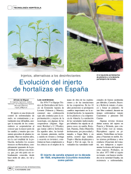 Evolución del injerto de hortalizas en España