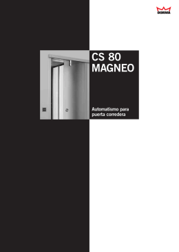 CS 80 MAGNEO