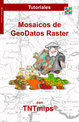 Mosaicos de GeoDatos Raster TNTmips®