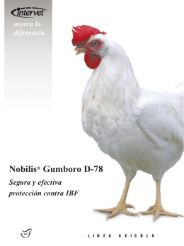 Folleto Nobilis® Gumboro D78