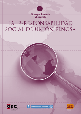 LA IR-RESPONSABILIDAD SOCIAL DE UNIÓN FENOSA