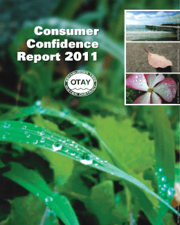 Consumer Confidence Report 2011