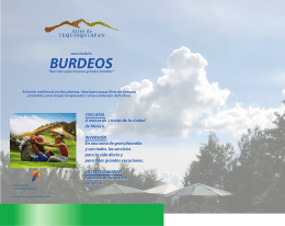 BURDEOS BURDEOS - Aires de Tequisquiapan