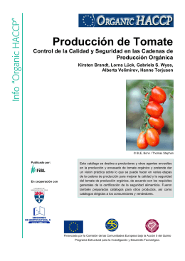 Producción de Tomate