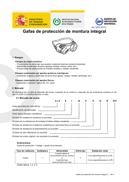 Gafas de protección de montura integral (pdf, 296 Kbytes)