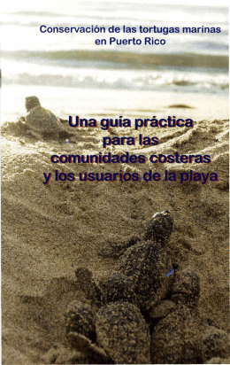 Conservaci6n de las tortugas marinas en Puerto Rico