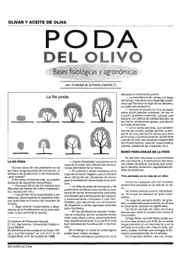 Poda del olivo: Bases fisiológicas y agronómicas