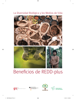 CBD REDDplus-SP-F.indd - Convention on Biological Diversity