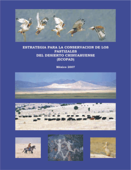 Ecopad 2007.cdr - Biodiversidad Mexicana