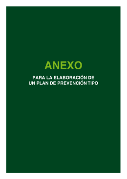 Anexo: Plan tipo