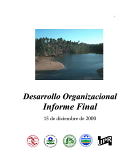 Desarollo Organizacional: Informe Final Año 2000.