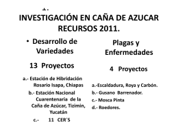INVESTIGACIÓN EN CAÑA DE AZUCAR RECURSOS 2011.