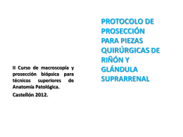 Archivo PDF - III Curso de macroscopía y Prosección biópsica para