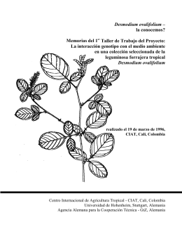Desmodium ovalifolium – la conocemos? Memorias del 1er Taller