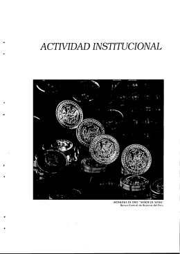 Actividad institucional - Banco Central de Reserva del Perú