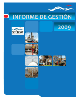INFORME DE GESTIÓN 2009