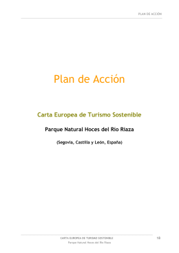 Plan de Acción - Junta de Castilla y León