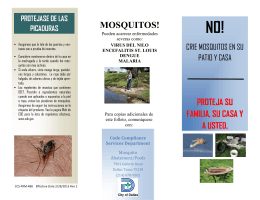 mosquitos! - 4eval.com