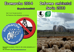 Informe Ambiental Soria 2013