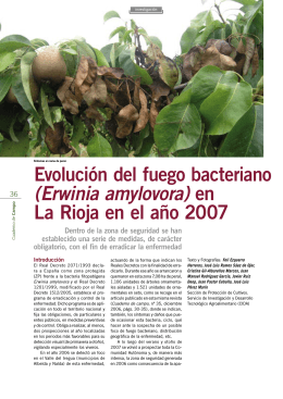 Evolución del fuego bacteriano (Erwinia amylovora) en La Rioja en
