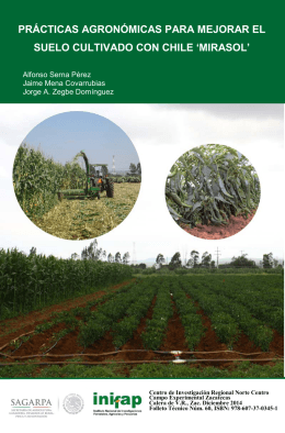 prácticas agronómicas para mejorar el suelo cultivado con chile