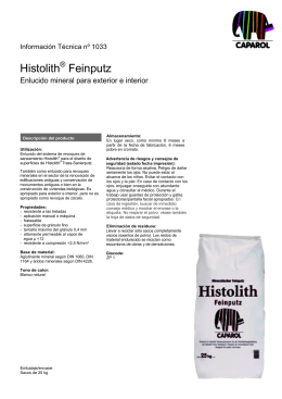 Histolith® Feinputz