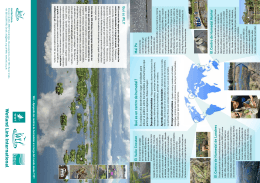 folleto de WLI - Wetland Link International