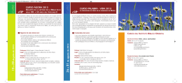folleto cursos de verano 2013:MaquetaciÛn 1