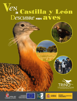 Ven a Castilla y León. Descubre sus aves (35 páginas