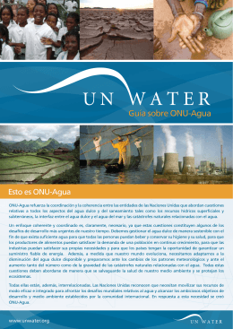 Guía sobre ONU-Agua - UN