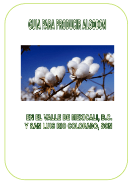 Guía para producir algodón