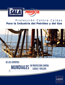 3 catalogo petrolero CAPITAL - Vertice Soluciones en Altura