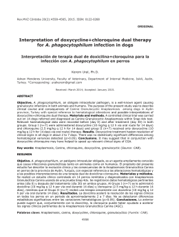 Interpretation of doxycycline+chloroquine dual therapy for A