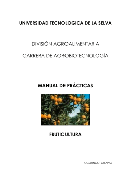 25.3 Manual de prácticas Fruticultura.