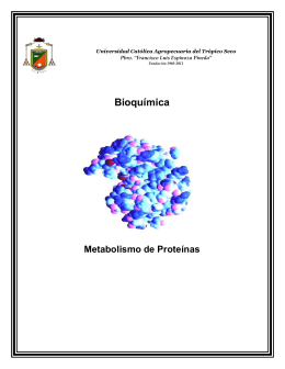 Bioquímica Metabolismo de Proteínas