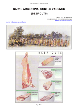 carne argentina: cortes vacunos (beef cuts)