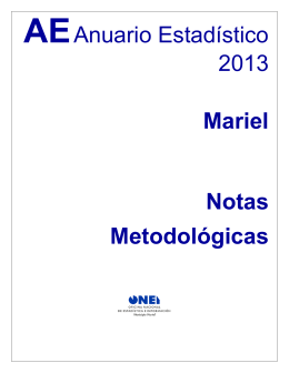 AEAnuario Estadístico 2013 Mariel Notas Metodológicas
