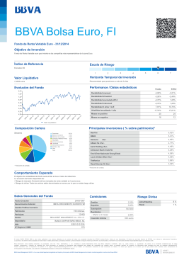 BBVA Bolsa Euro, FI - BBVA Asset Management