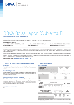 BBVA Bolsa Japón (Cubierto), FI