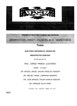 MVZ. JORGE PINEDA LUCATERO - Dirección General de Servicios