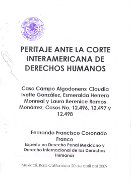 Peritaje Fernando Coronado