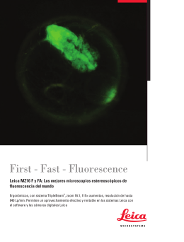 First - Fast - Fluorescence