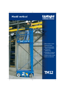 Mastil vertical TM12