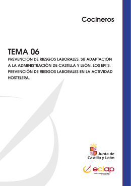 TEMA 06 - ECLAP - Junta de Castilla y León