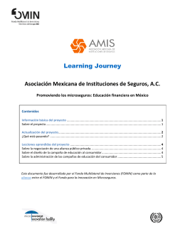 AMIS Learning Journey