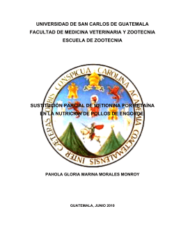 universidad de san carlos de guatemala facultad de medicina